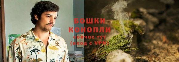 хмурый Богородск
